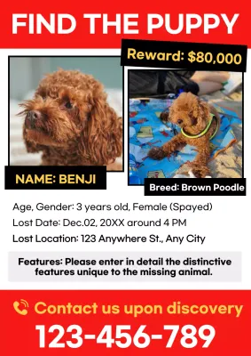 Red Bold Lost Dog Announcement