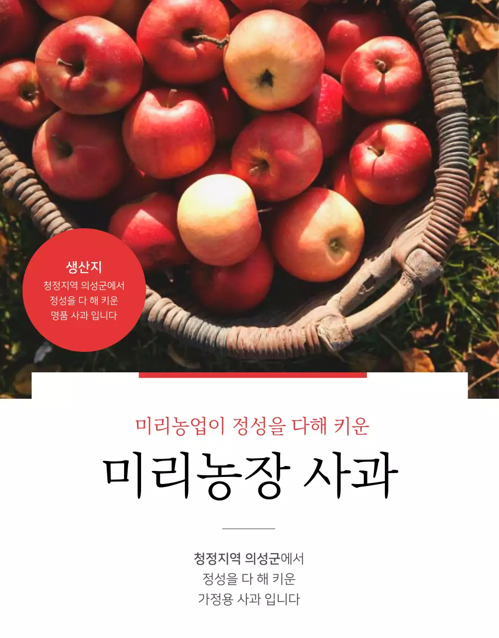 템플릿 505043