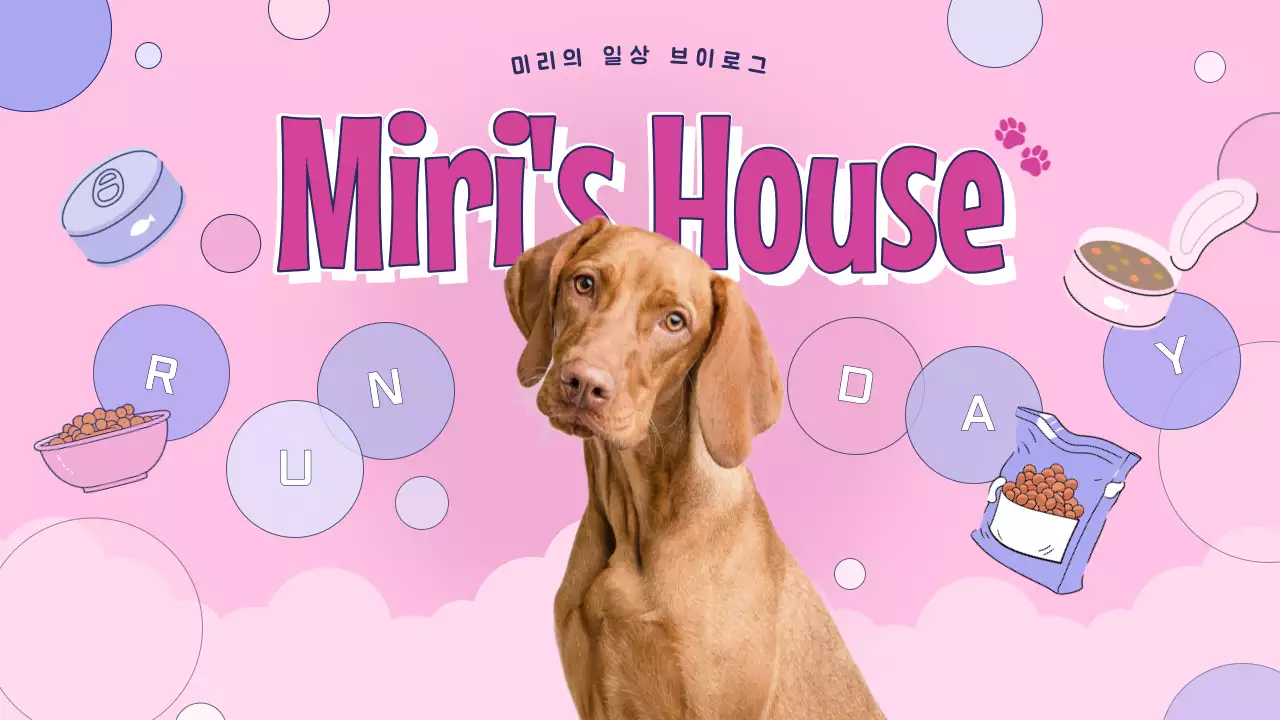템플릿 551145