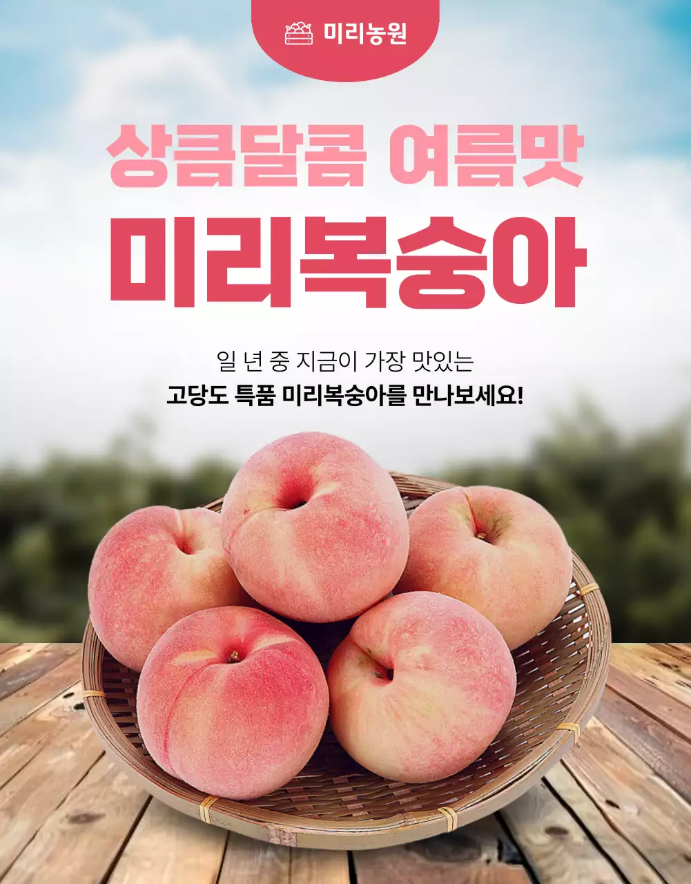 템플릿 613076
