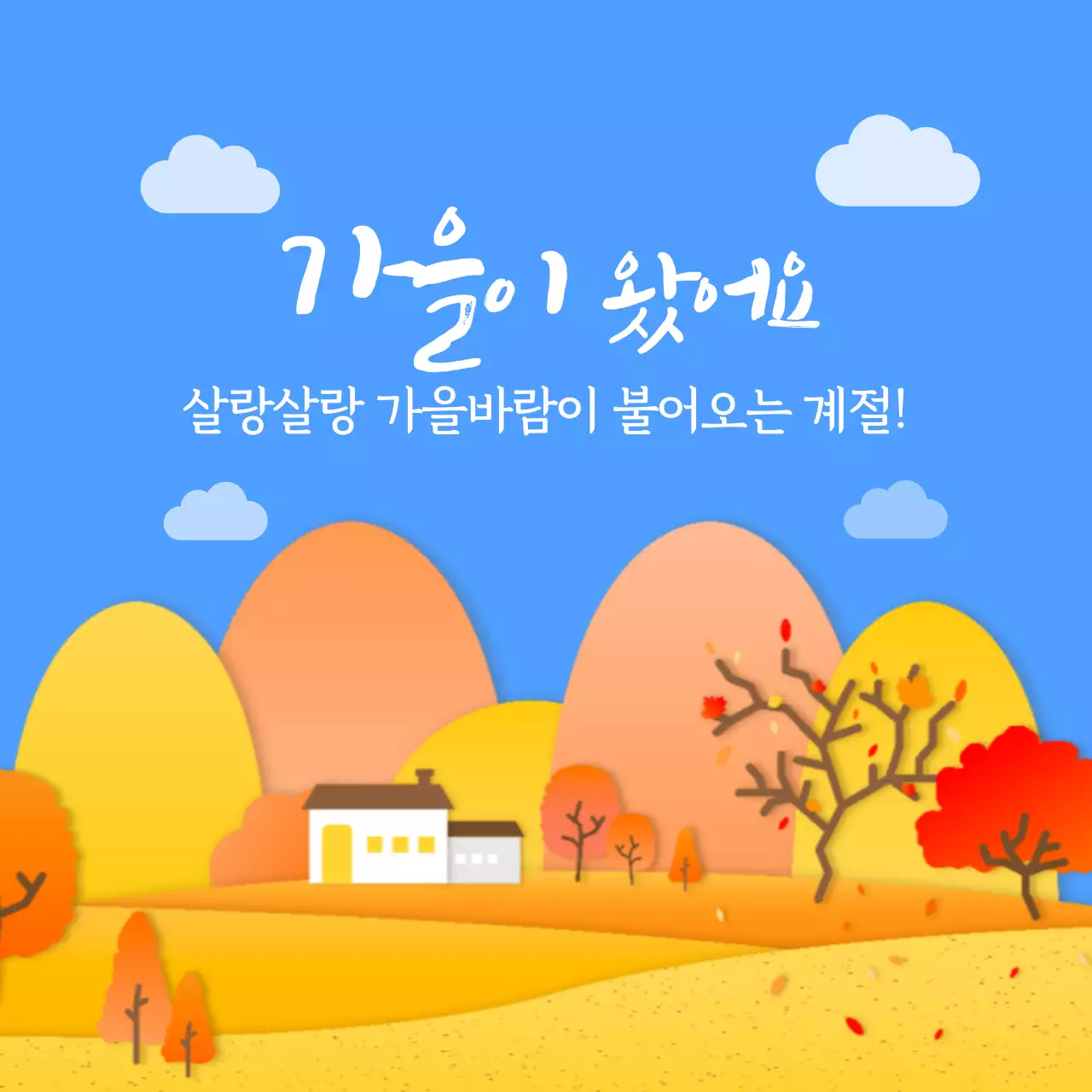 템플릿 34084