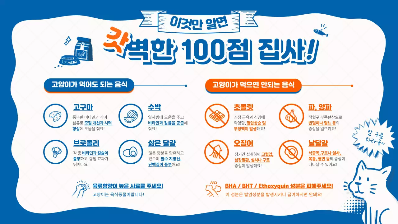 템플릿 62160