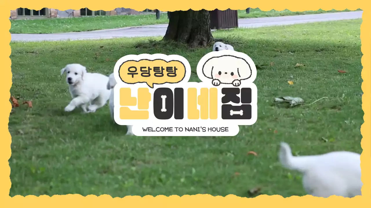 템플릿 70649