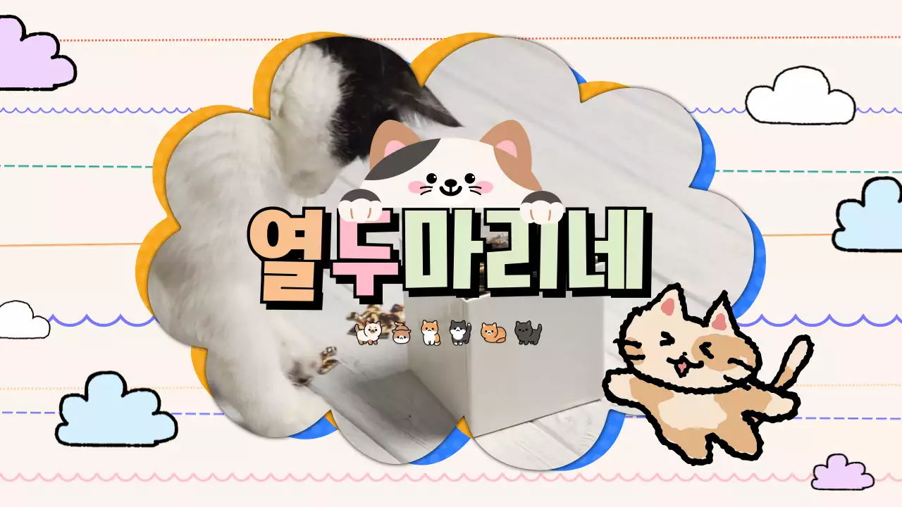 템플릿 122475
