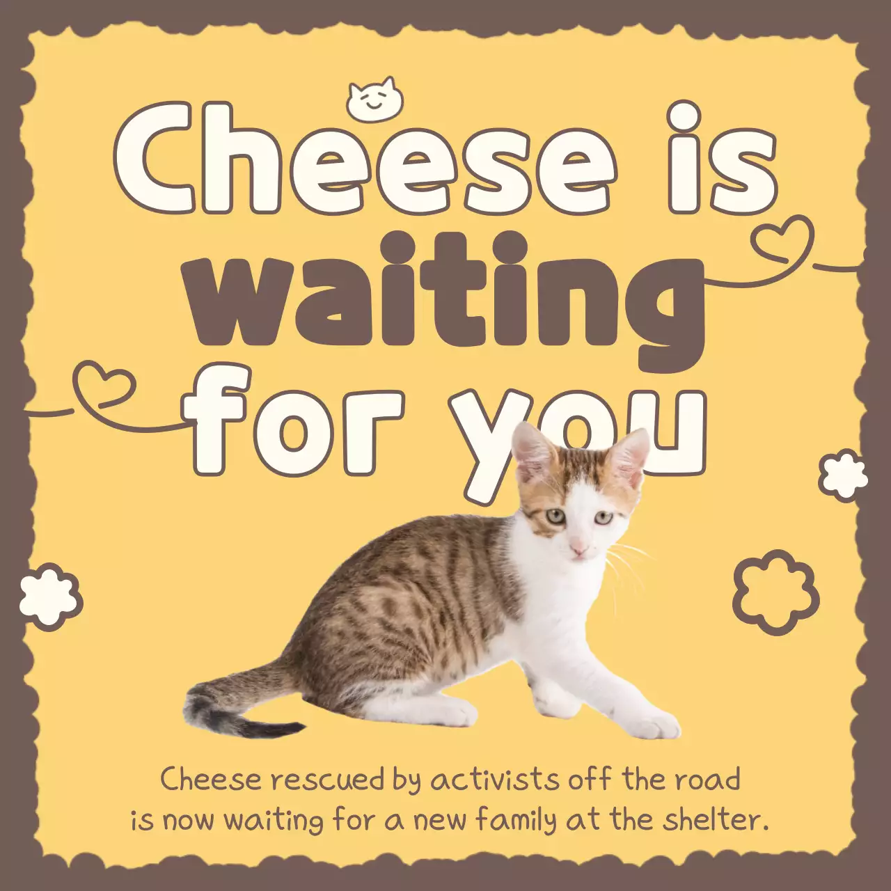 Yellow Cute Pet Adoption Notice Social Media Post