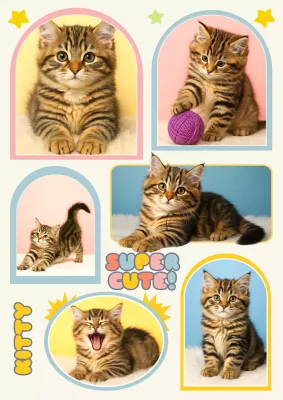Pastel Colourful Playful Kitten Poster