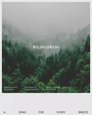 Grey Minimal Music Promotion