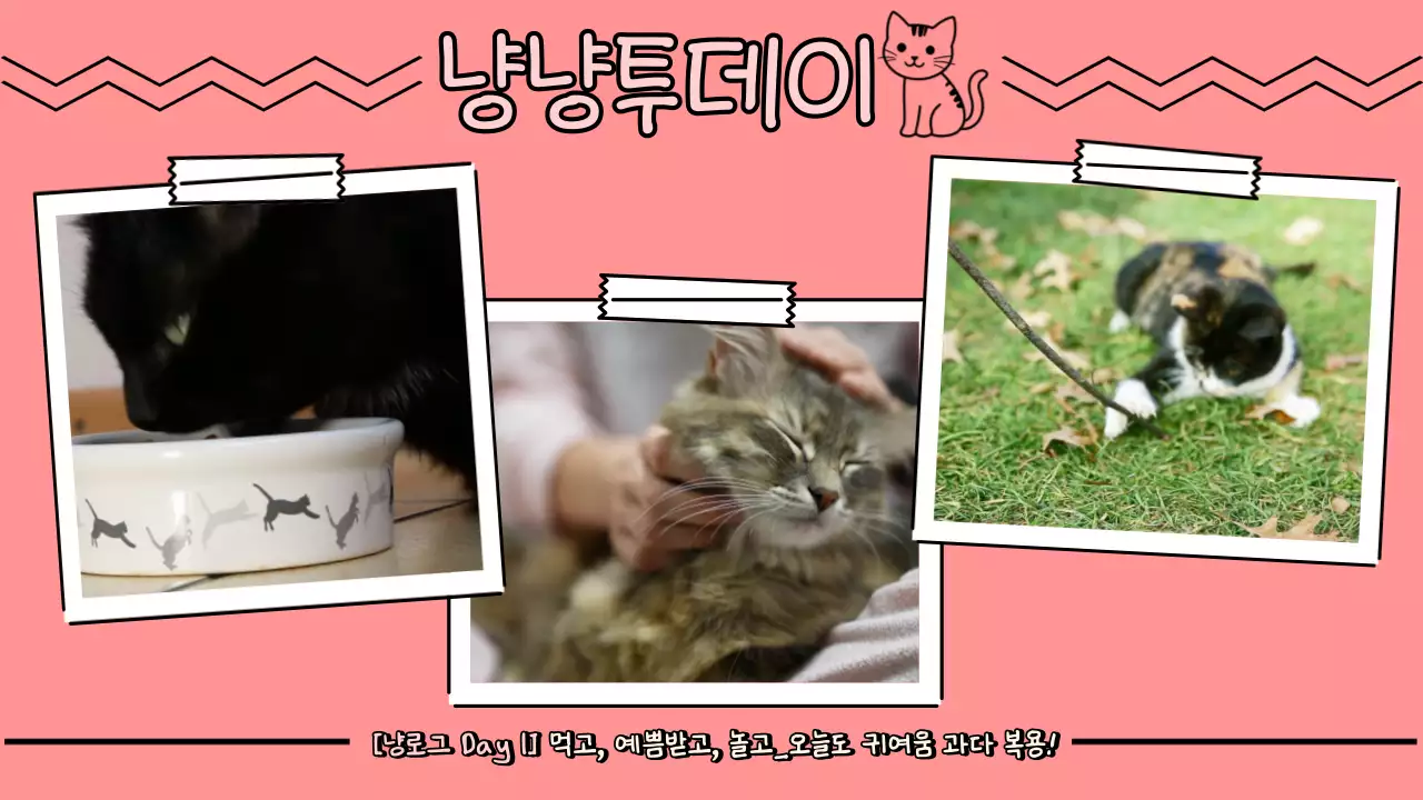 템플릿 791251