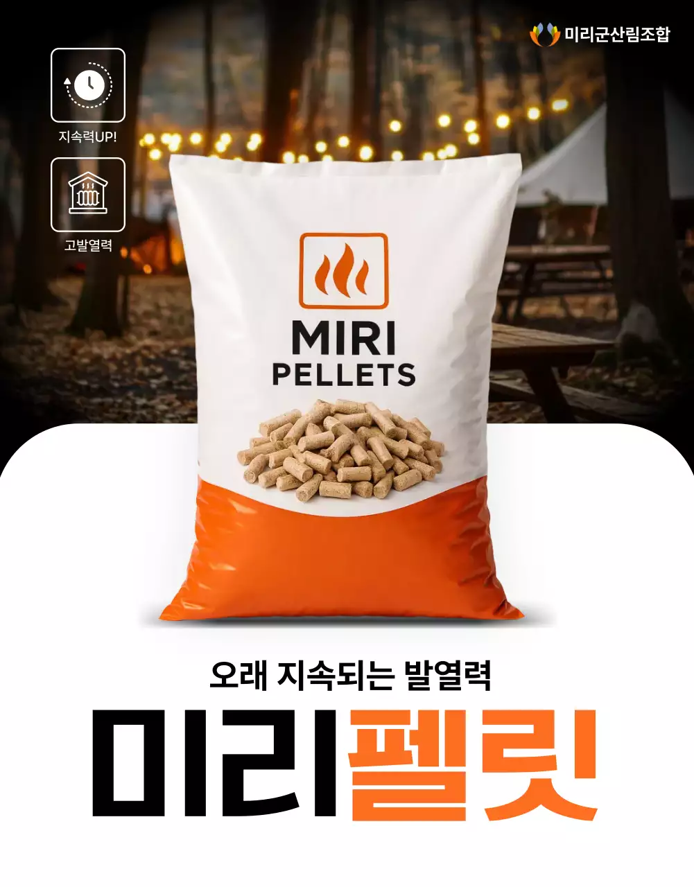 템플릿 827178