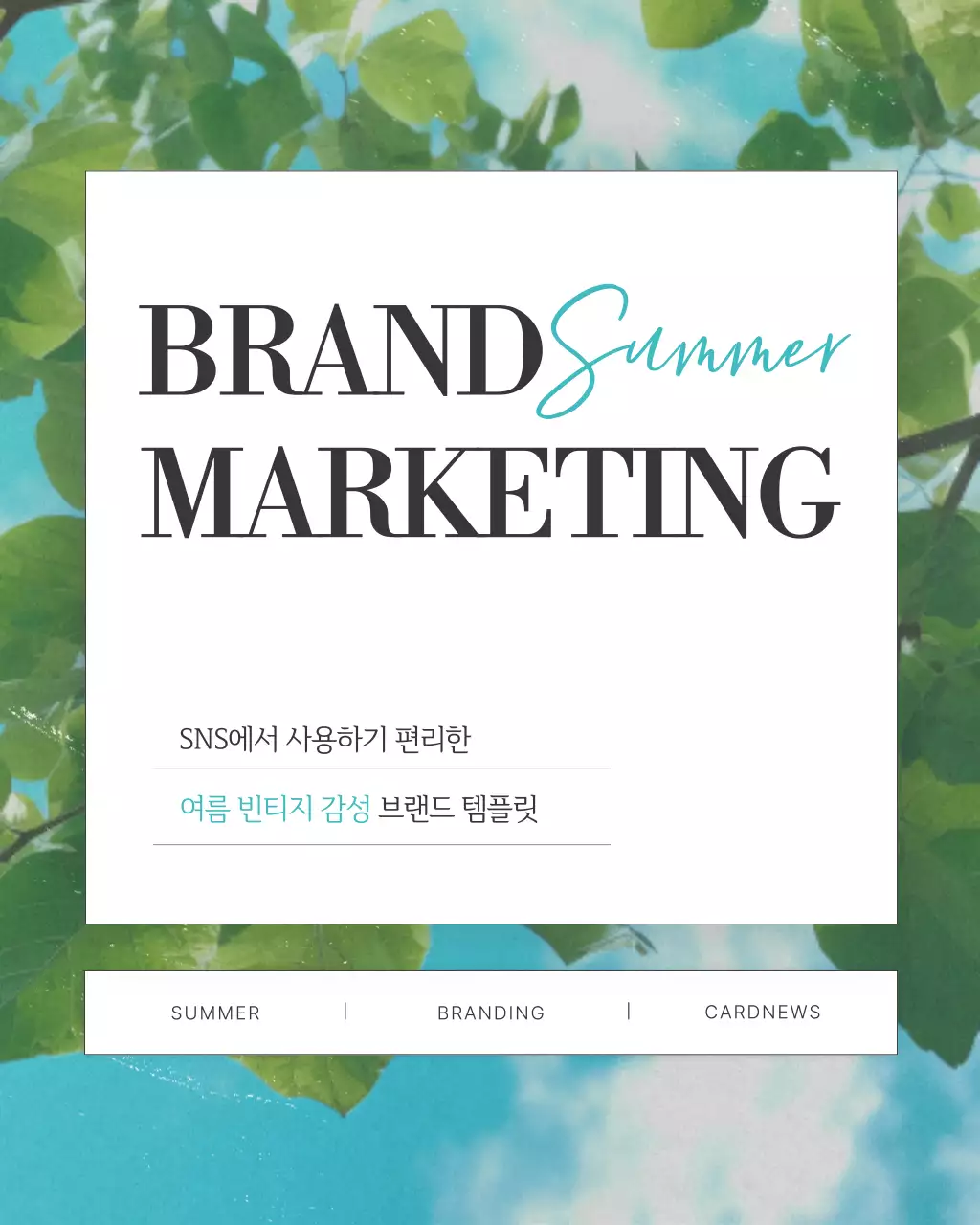 템플릿 764160