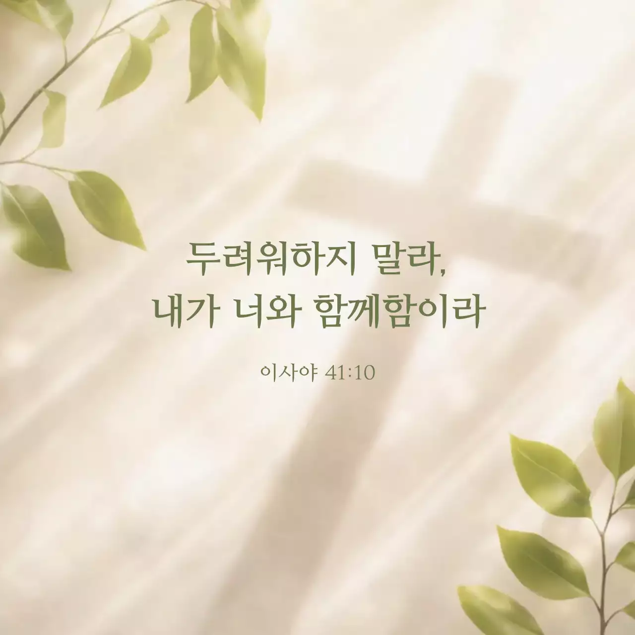 템플릿 889598
